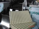 Línea de producción de bolas de chocolate con avellana 